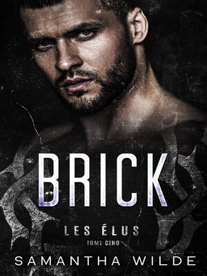 cover image of Brick (French Edition)